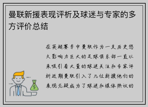 曼联新援表现评析及球迷与专家的多方评价总结