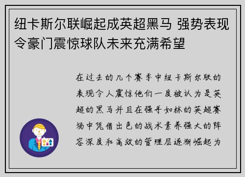 纽卡斯尔联崛起成英超黑马 强势表现令豪门震惊球队未来充满希望